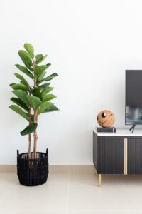 c93638e9-04e5-41ab-8d0b-25a544df785b